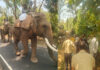 ಮಡಿಕೇರಿ: ಹಲವರನ್ನು ಬಲಿ ಪಡೆದಿದ್ದ ನರಹಂತಕ ಕಾಡಾನೆ ಕೊನೆಗೂ ಸೆರೆ!