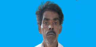 ಜಮೀನಿನಲ್ಲಿ ಅಕ್ರಮವಾಗಿ ಗಾಂಜಾ ಬೆಳೆದ ಆರೋಪಿ ಬಂಧನ
