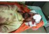 ಬಂಟ್ವಾಳ: ಕಲ್ಲಿನಿಂದ ಹಲ್ಲೆ – ಯುವಕನಿಗೆ ಗಾಯ, ಆರೋಪಿ ವಶಕ್ಕೆ