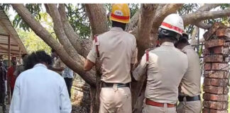 ಉಡುಪಿ: ಮಾವಿನಕಾಯಿ ಕೊಯ್ಯುವ ವೇಳೆ ವಿದ್ಯುತ್ ತಂತಿ ಸ್ಪರ್ಶಿಸಿ ವ್ಯಕ್ತಿ ಮೃತ್ಯು!