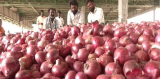 ಮಧ್ಯಪ್ರಾಚ್ಯ ದೇಶಗಳ ಯುದ್ಧದ ಎಫೆಕ್ಟ್: ಪಾತಾಳಕ್ಕೆ ಕುಸಿದ ಈರುಳ್ಳಿ ಬೆಲೆ