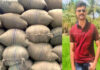 ಅಕ್ರಮ ಪಡಿತರ ಅಕ್ಕಿ ದಂಧೆಕೋರರಿಂದ ಲಂಚ ವಸೂಲಿ– ಮೂವರ ಬಂಧನ