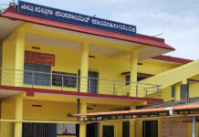 ವಿಟ್ಲ: ಬಸವನಗುಡಿ ಪ್ರದೇಶದಲ್ಲಿ 2 ಭಾರೀ ಗಾತ್ರದ ಎತ್ತುಗಳಿಂದ ಭತ್ತದ ಕೃಷಿಗೆ ಹಾನಿ, ವಾಹನ ಸಂಚಾರಕ್ಕೂ ಅಡ್ಡಿ
