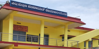 ವಿಟ್ಲ: ಬಸವನಗುಡಿ ಪ್ರದೇಶದಲ್ಲಿ 2 ಭಾರೀ ಗಾತ್ರದ ಎತ್ತುಗಳಿಂದ ಭತ್ತದ ಕೃಷಿಗೆ ಹಾನಿ, ವಾಹನ ಸಂಚಾರಕ್ಕೂ ಅಡ್ಡಿ