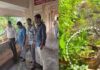 ಹೂವಿನ ಕುಂಡದಲ್ಲಿತ್ತು ಲಂಚದ ಕಂತೆ! – ಕಾಸರಗೋಡು ಆರ್ಟಿಒಗೆ ವಿಜಿಲೆನ್ಸ್ ಮಿಂಚಿನ ದಾಳಿ
