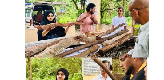 ಉಪ್ಪಳದಲ್ಲಿ ಮಾನವೀಯತೆ ಮೆರೆದ ಜಿಪಂ ಸದಸ್ಯೆ: ಮಾಜಿ ಸಂಘ ಕಾರ್ಯಕರ್ತ ನಾರಾಯಣರ ಅಂತ್ಯಸಂಸ್ಕಾರ ನೆರವೇರಿಸಿದ ಇರ್ಫಾನ