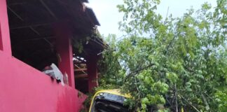 ಬಂಟ್ವಾಳ: ಶಾಲಾ ಬಸ್ ಮೇಲೆ ಉರುಳಿ ಬಿದ್ದ ಬೃಹತ್ ಮರ..!