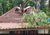 ಬೋಳಂತೂರು :ಭಾರಿ ಮಳೆ ಹಿನ್ನೆಲೆ-ಮರ ಬಿದ್ದು ಅಂಗಡಿಗೆ ಹಾನಿ