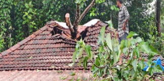 ಬೋಳಂತೂರು :ಭಾರಿ ಮಳೆ ಹಿನ್ನೆಲೆ-ಮರ ಬಿದ್ದು ಅಂಗಡಿಗೆ ಹಾನಿ