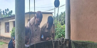 ಸುರತ್ಕಲ್: ತಮ್ಮನ ತಲೆಗೆ ಕಲ್ಲು ಎತ್ತಿಹಾಕಿ ಕೊಲೆಗೈದ ಅಣ್ಣ