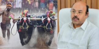 ದಸರಾ ವೇಳೆ ಕಂಬಳ ಆಯೋಜನೆ: ಯತೀಂದ್ರ ಸಿದ್ದರಾಮಯ್ಯ