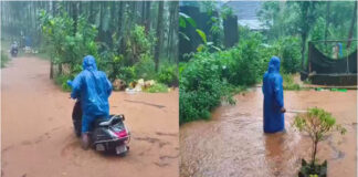 ಬೆಳ್ತಂಗಡಿ: ಮುಂಡಾಜೆಯಲ್ಲಿ ದಾಖಲೆಯ 348.5 ಮಿ.ಮೀ ಮಳೆ
