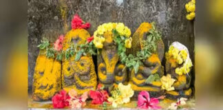ನಾಗರಪಂಚಮಿ: ನಂಬಿಕೆಯಾಚೆಗಿನ ನಾಗತತ್ತ್ವ