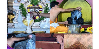 ವಿಟ್ಲದ ಹಲವೆಡೆ ನಾಗರ ಪಂಚಮಿಯ ಸಂಭ್ರಮ..!