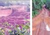ಕೋಟೆತ್ತಡ್ಕ ಕೆಂಪುಕಲ್ಲು ಕೋರೆಯ ವಿರುದ್ಧ ಸ್ಥಳೀಯರ ದೂರುಮನೆ ನಿವೇಶನಕ್ಕೂ ಕುತ್ತು; ಅಧಿಕಾರಿಗಳಿಗೆ ದೂರು ನೀಡಿದರೂ ಕ್ರಮವಿಲ್ಲವೆಂದು ಆರೋಪ