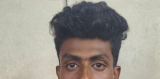 17 ಜಾನುವಾರುಗಳ ಅಕ್ರಮ ಸಾಗಾಟ: ಲಾರಿ ವಶಕ್ಕೆ, ಆರೋಪಿ ಬಂಧನ