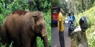 ಮಡಿಕೇರಿ: ಬೈಕ್ನಲ್ಲಿ ತೆರಳುತ್ತಿದ್ದ ಕಾರ್ಮಿಕರ ಮೇಲೆ ಕಾಡಾನೆ ದಾಳಿ – ಇಬ್ಬರು ಗಂಭೀರ
