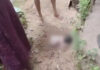 ಮಲ್ಪೆ: ರಸ್ತೆ ಬದಿ ಎಸೆಯಲ್ಪಟ್ಟ ಸ್ಥಿತಿಯಲ್ಲಿ ನವಜಾತ ಶಿಶು ಪತ್ತೆ..!