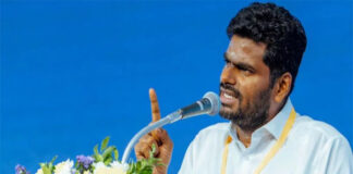 ಕಾಕ್ರೋಚ್ ಜನತಾ ಪಕ್ಷಕ್ಕೆ ನನ್ನ ಬೆಂಬಲ ಇಲ್ಲ – ಬಿಜೆಪಿ ಟೀಕೆಗೆ ಅಣ್ಣಾಮಲೈ ತಿರುಗೇಟು