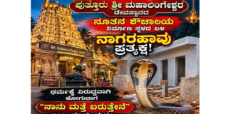 ಪುತ್ತೂರು ಶ್ರೀ ಮಹಾಲಿಂಗೇಶ್ವರ ದೇವಸ್ಥಾನದ ಕಾಮಗಾರಿ ಸ್ಥಳದಲ್ಲಿ ನಾಗರಹಾವು ಪ್ರತ್ಯಕ್ಷ..!